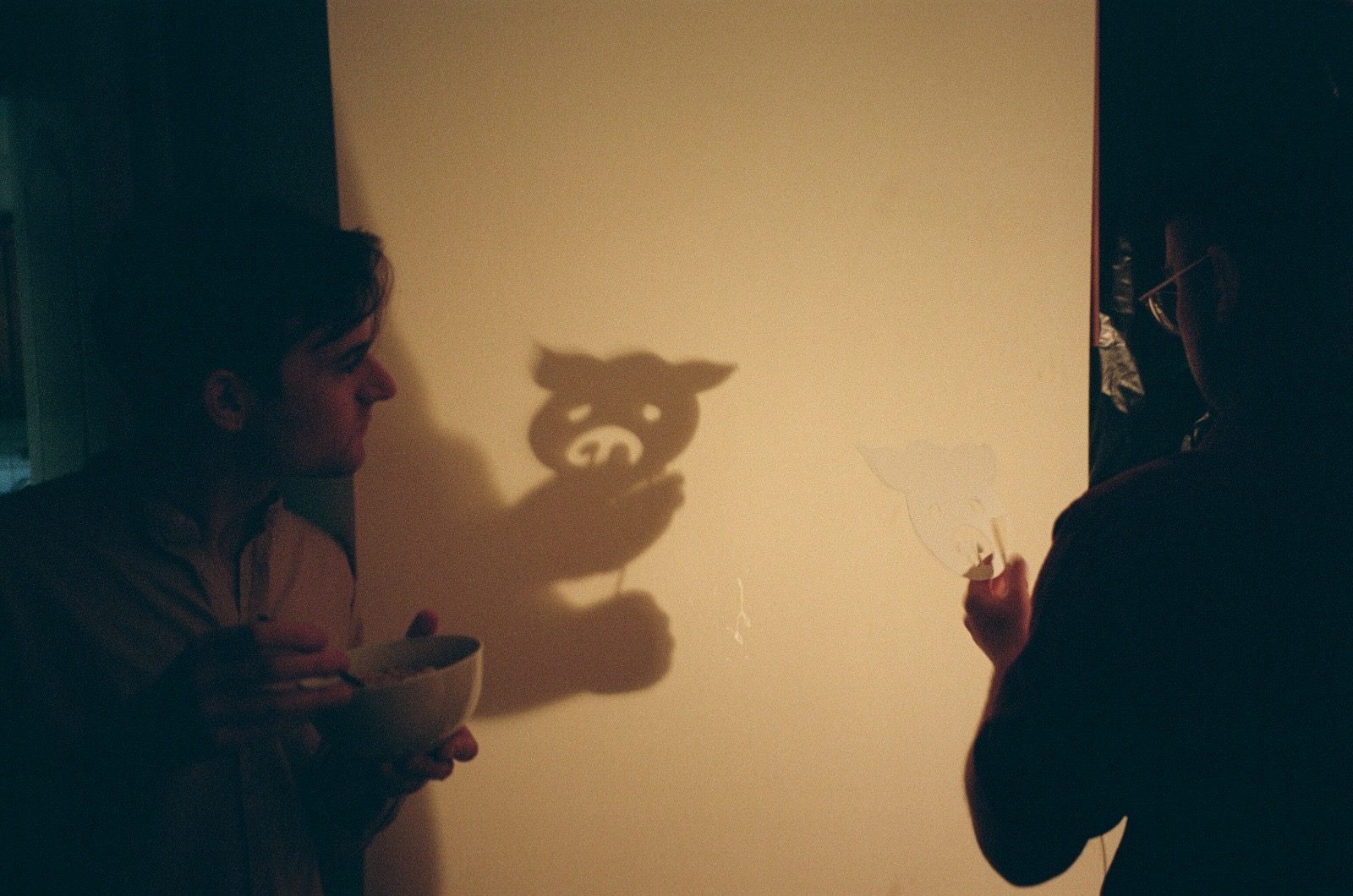 A puppet held to the light, casting a shadow across the wall